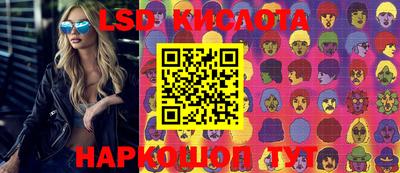 молекула духа Гатчина