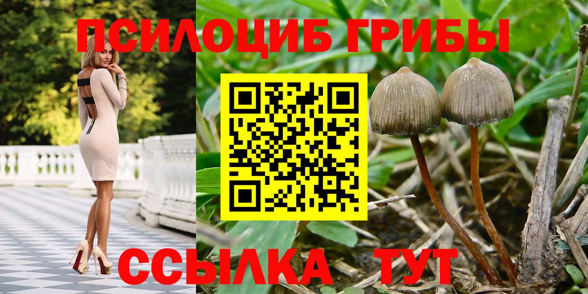 Нарткала  Галлюциногенные грибы GOLDEN TEACHER  Вход с VPN 